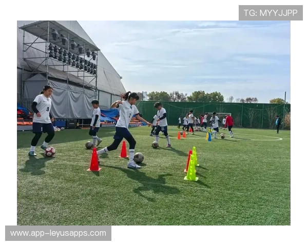 足球青训是否引入非竞技型素养能力考核模型，足球青训发展方案