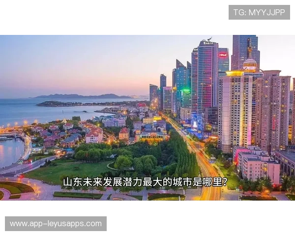 未来发展前景广阔，潜力巨大